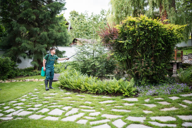 Best Pest Control Cost  in Firthcliffe, NY